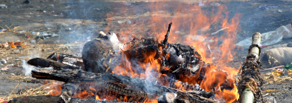 Tarapith: Fire, Blood, Magic, and Sati’s Third Eye