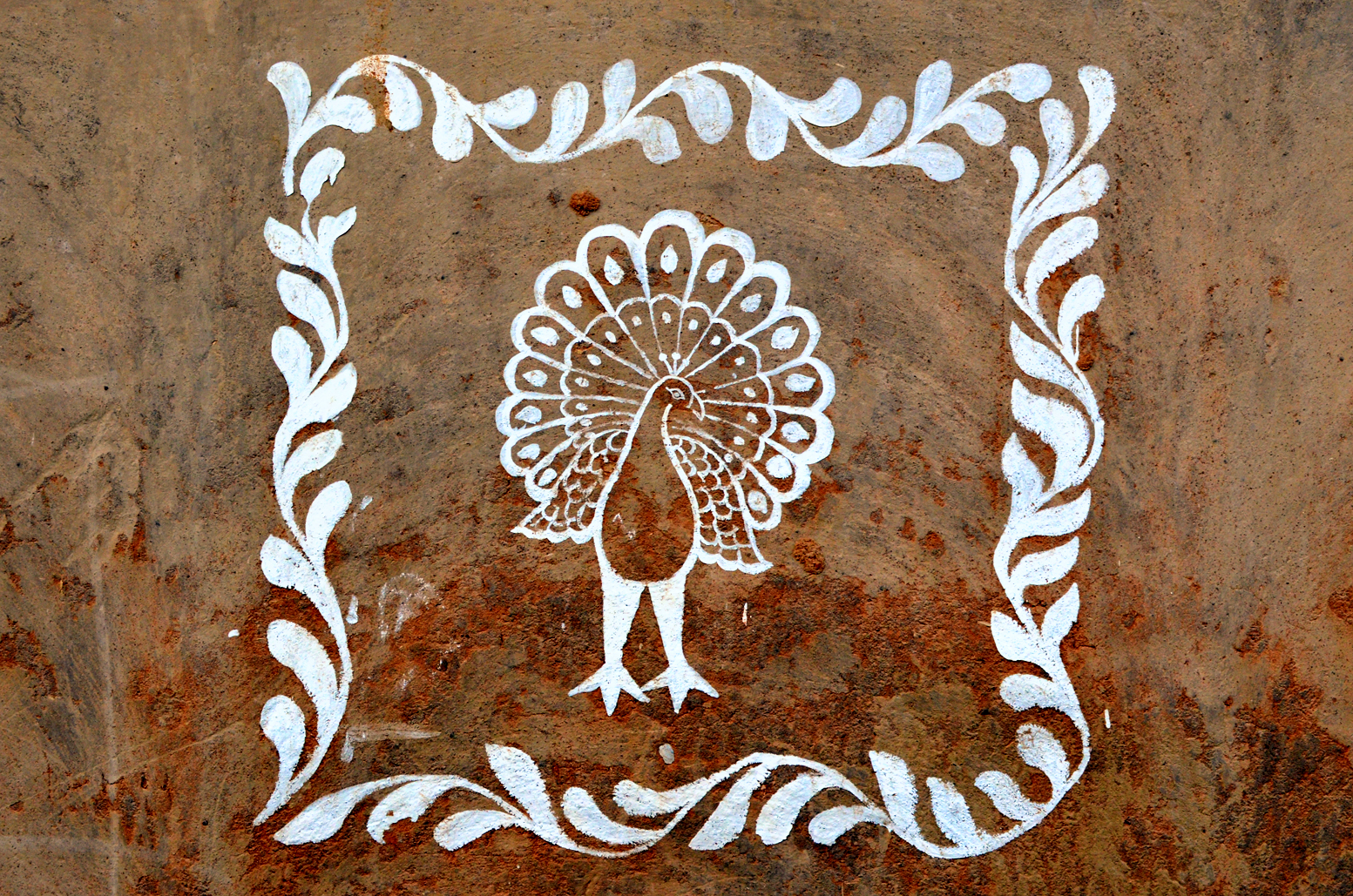 Decorative peacock, painted on a Santali tribal village home in Santiniketan, West Bengal.